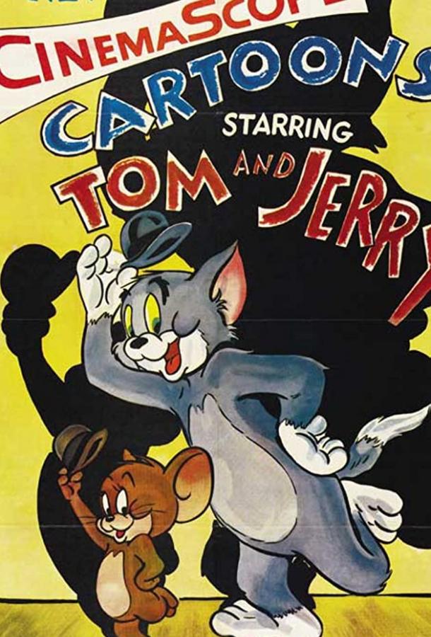Постер к Кот скрытой камерой (1967)