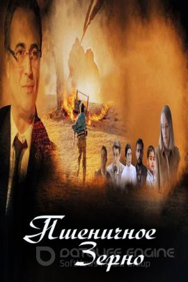 Пшеничное зерно (2022)