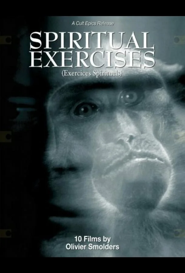 Постер к Любитель (1996)