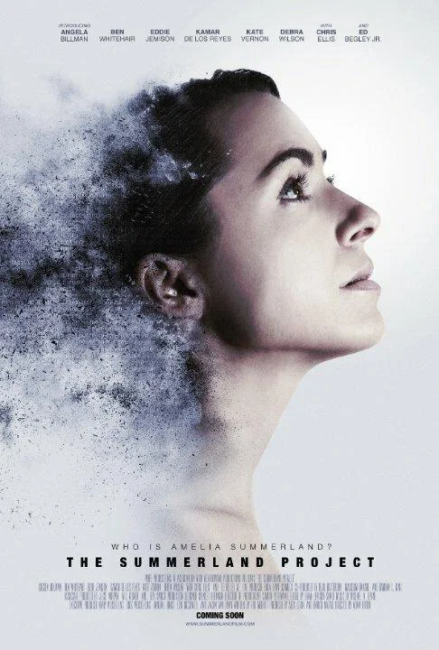 Постер к Амелия 2.0 (2016)