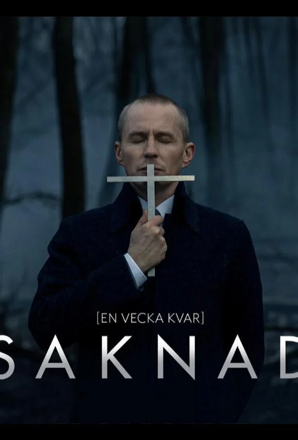 Постер к Пропавшая (1 сезон)