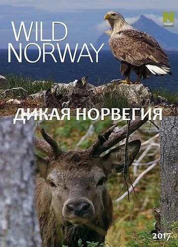 Постер к Дикая Норвегия (2017)