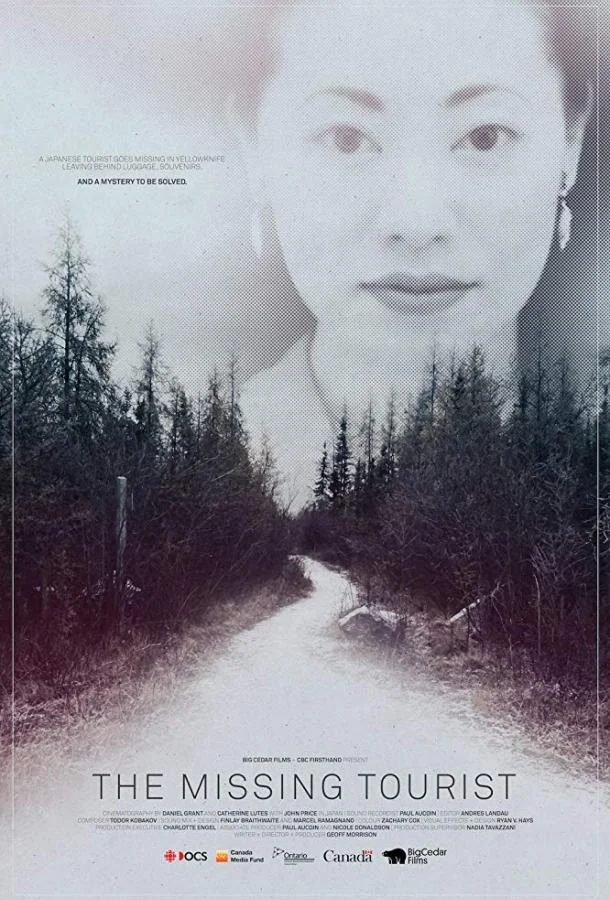 Постер к Исчезновение туристки (2017)