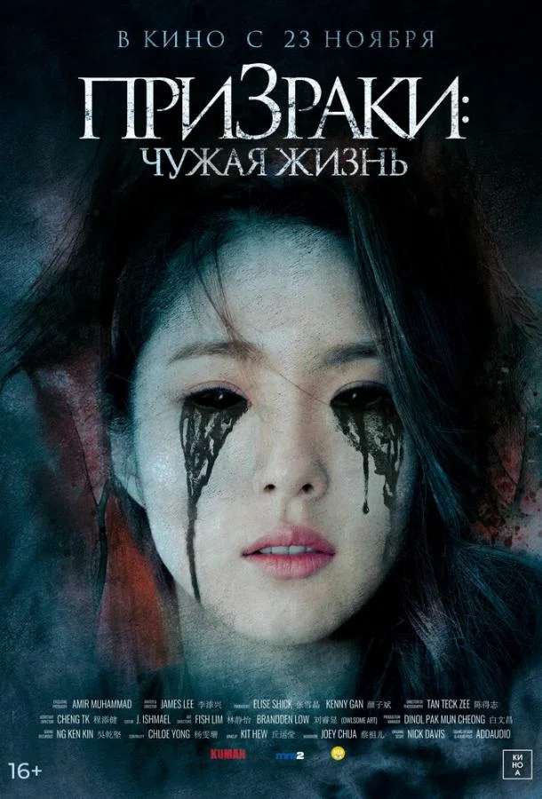 Постер к Призраки: Чужая жизнь (2019)